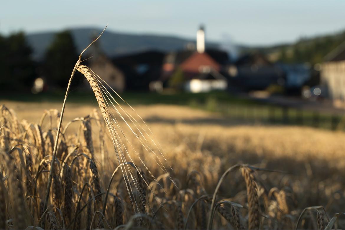 The Balvenie Bersama Studio Lianggono Persembahkan The Makers Project di Bali