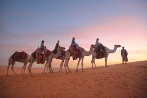 Menemukan Harmoni Dari Perjalanan Wellness Di AIUla Hingga Saudi Red Sea